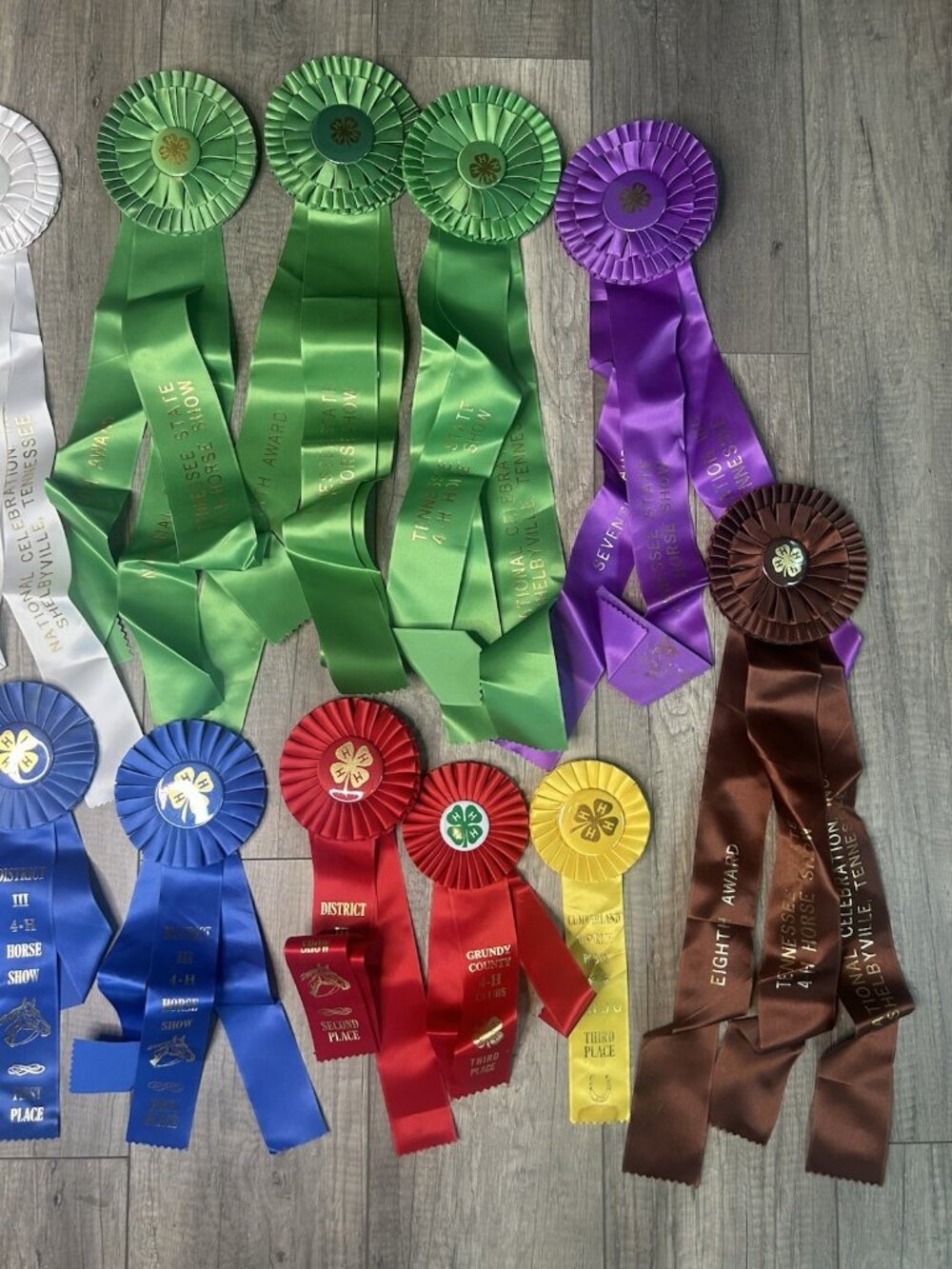 Show Ribbons 4-H Club Rosettes Craft Equestrian Tennessee Shelbyville Lot Of 19 - Picture 5 of 16